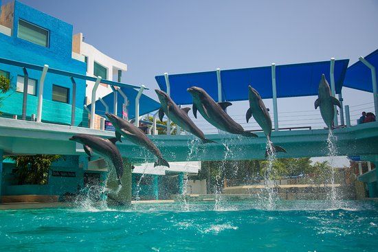 La Torre Escénica del Embarcadero de Cancún